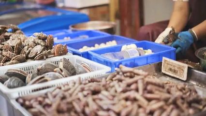 煙臺開海首日！凌晨碼頭沸騰，生猛海鮮批量上岸直供市民餐桌